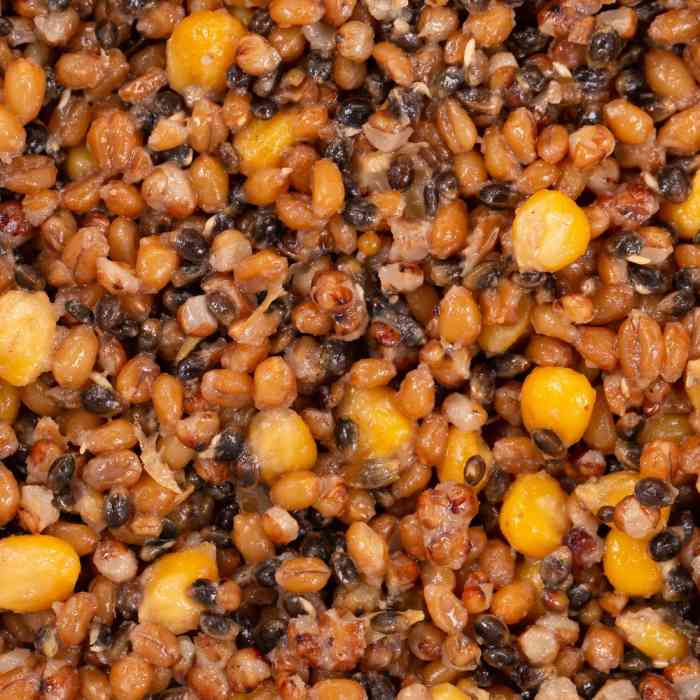 Зерновая смесь MINENKO Spod Mix Chili (4кг)