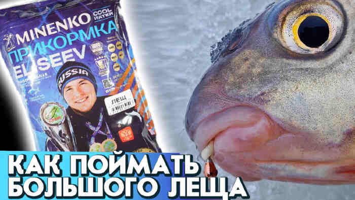 Прикормка «Cool Water Елисеев  Зимняя Лещ увлажнённая» 1 кг