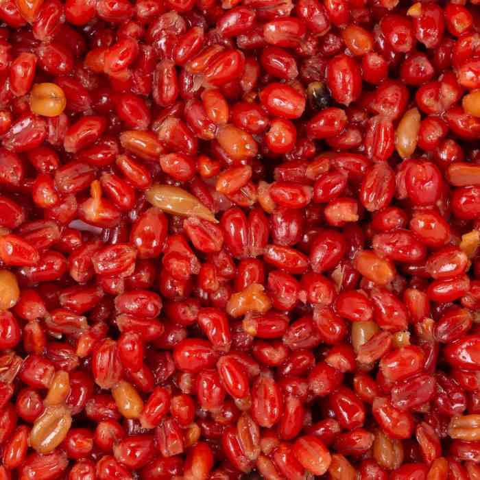 Зерновая смесь MINENKO Royal Plum Wheat (4кг)