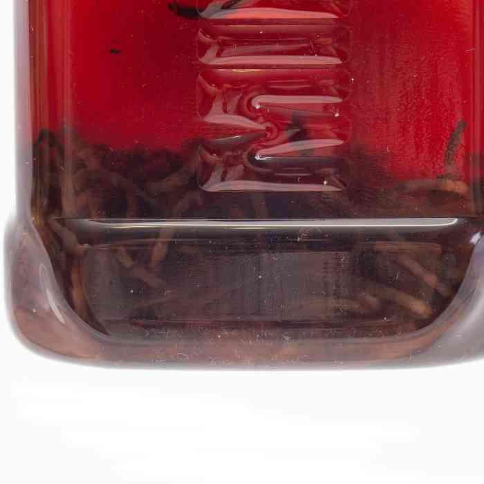 Ароматизатор MINENKO Animals in bottle Червь